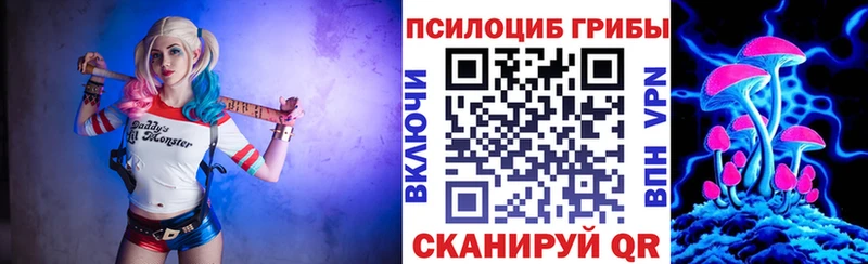 наркотики  блэк спрут   Псилоцибиновые грибы Magic Shrooms  Ликино-Дулёво 